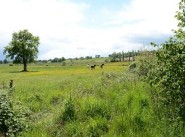 Purchase sale farmhouse / country house Vallon En Sully