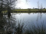 Real estate Dompierre Sur Besbre
